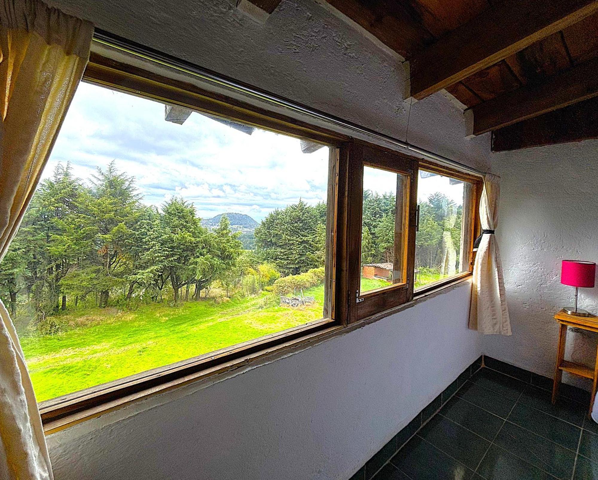 Habitación Cuádruple - vistas al jardín